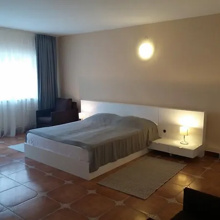 Gæstehus Pensiunea Casa Tepes 3*
