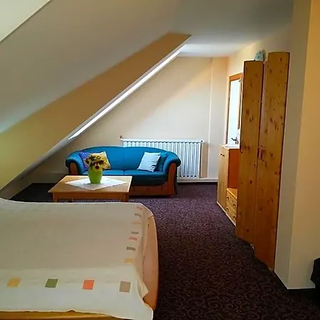 Gæstehus Pensiunea Casa Tepes