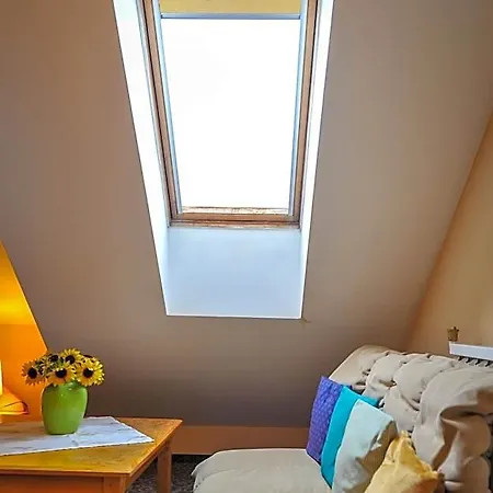 Guest house Pensiunea Casa Tepes Brasov