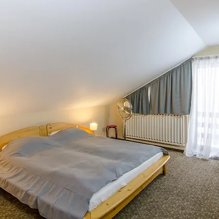 Vendégház Pensiunea Casa Tepes 3*