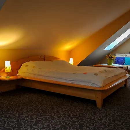 Casa de hóspedes Pensiunea Casa Tepes Braşov