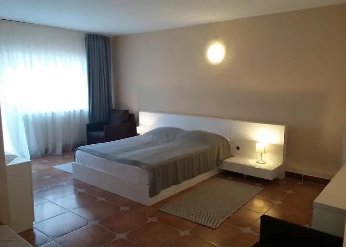 Guest house Pensiunea Casa Tepes 3*