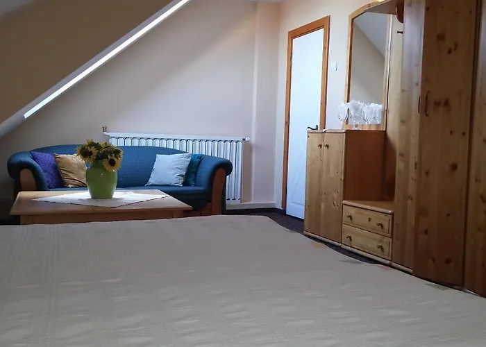 Guest house Pensiunea Casa Tepes Brasov