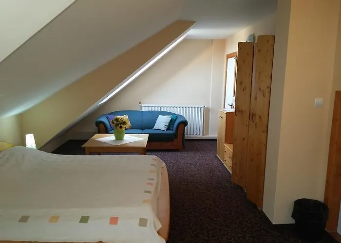 Pensiunea Casa Tepes Guest house Brasov