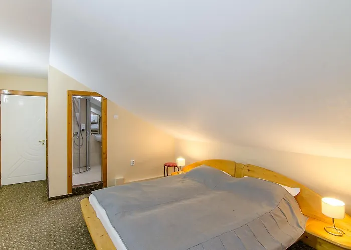 Pensiunea Casa Tepes Maison d'hôtes Braşov