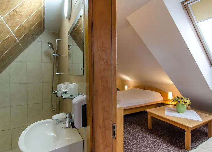 Guest house Pensiunea Casa Tepes