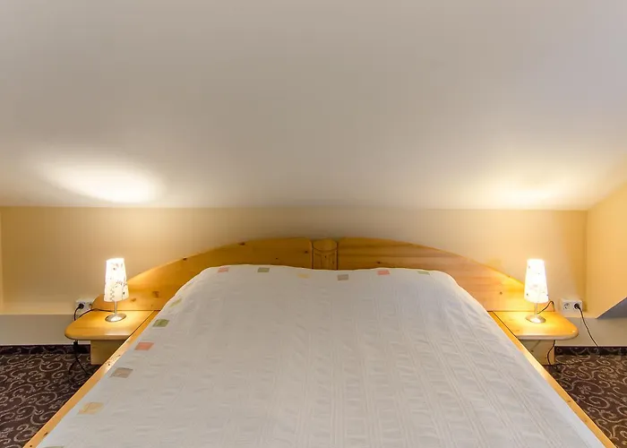 Pensiunea Casa Tepes Guest house 3*