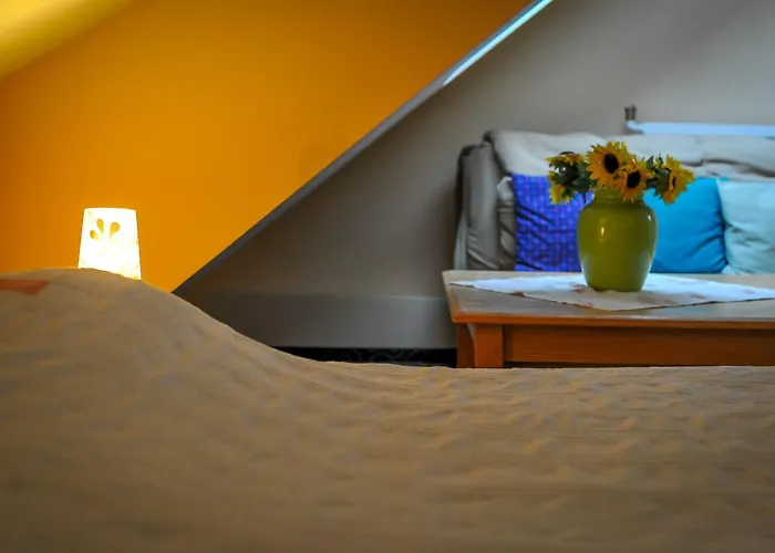 Guest house Pensiunea Casa Tepes Brasov